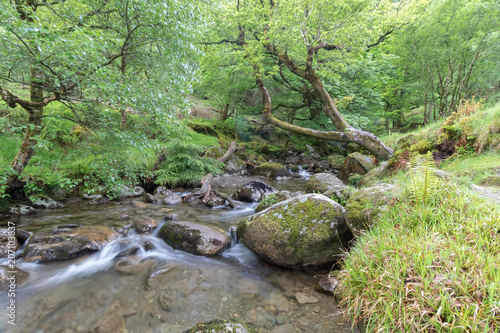 Flowing waterstream in the forest, waterfall, wet stones, green moss, vivid green scenery, enchanted forest