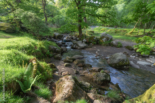 Flowing waterstream in the forest, waterfall, wet stones, green moss, vivid green scenery, enchanted forest