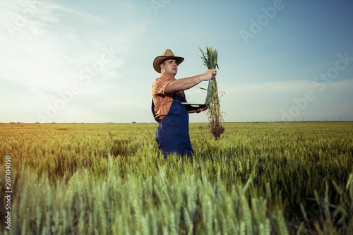Farmer with wheat in hands