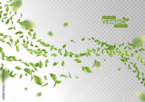 Green Flying Leaves