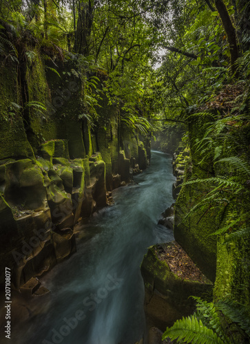 New Zealand canyon