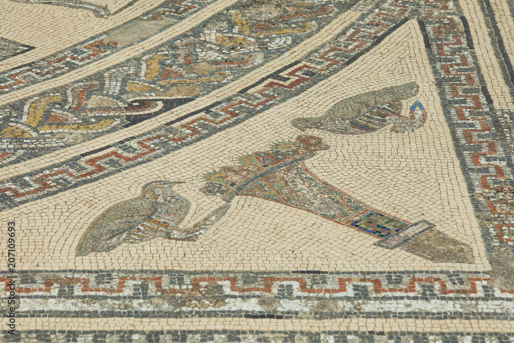 Detail of ancient Roman mosaic at Volubilis