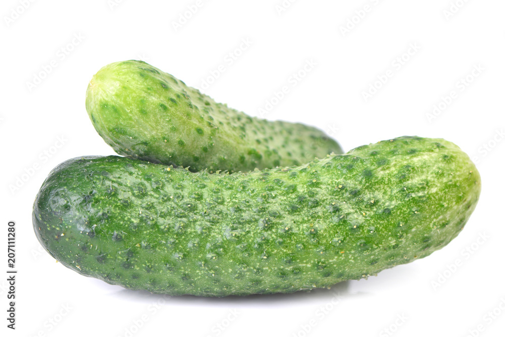 Fresh cucumber Fresh cucumber