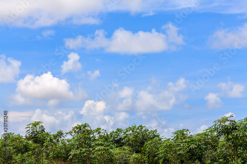 Green landscape with strong coluds. selective focus.