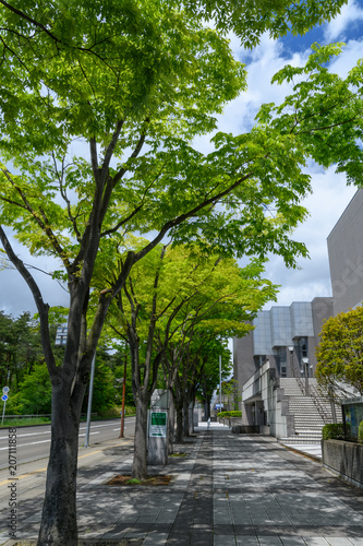 宮城県仙台市台原の道路 