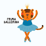 Hand drawn vector illustration of a cute funny tiger girl in a tutu, pointe shoes, with lettering quote Prima ballerina. Isolated objects. Scandinavian style flat design. Concept for children print.