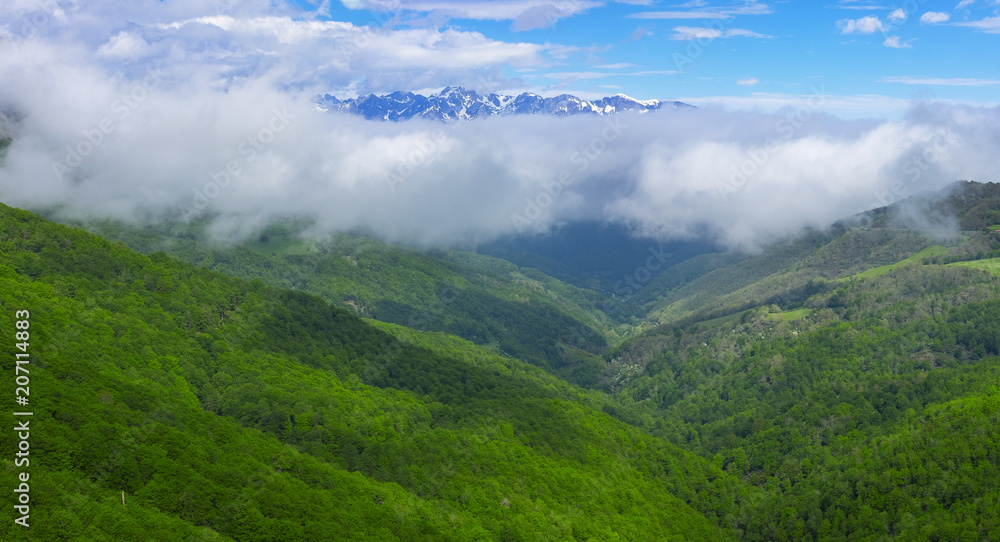Fototapeta premium Forest and mountains from Viewpoint of Piedrasluengas in the Natural Park of Fuentes Carrionas, province of Palencia