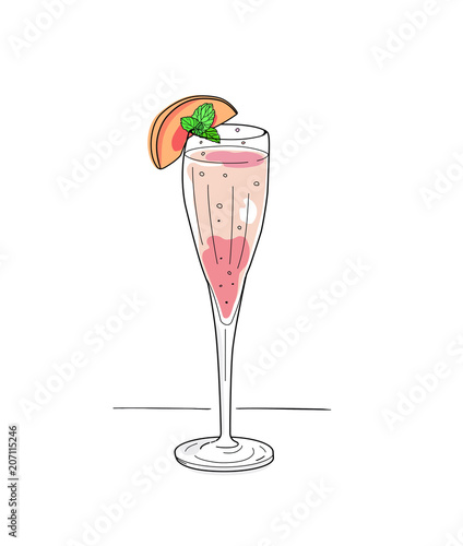 Bellini peach brunch cocktail, isolated hand drawn vector illustration 