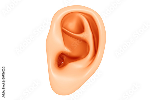Human Ear photo