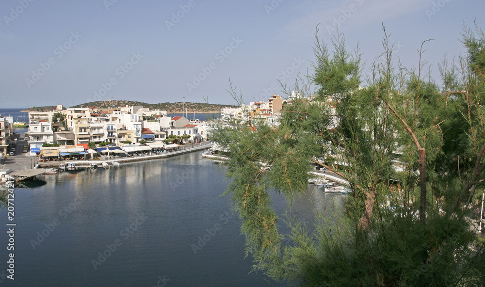 The tree and the view of the white houses on the coast of the lake Voulismeni, the island and the sea. This photo was made in Greece, on Crete island.