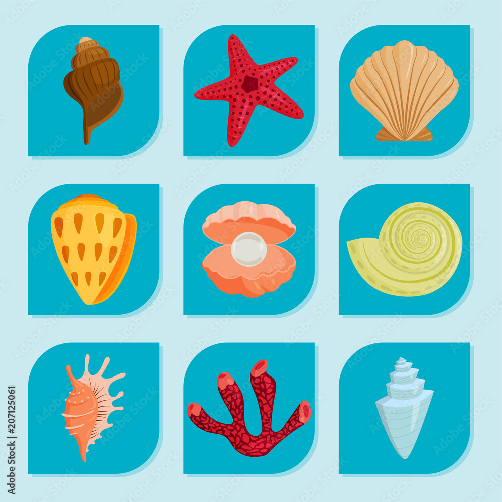 Sea shells marine cartoon clam-shell and ocean starfish coralline vector illustration