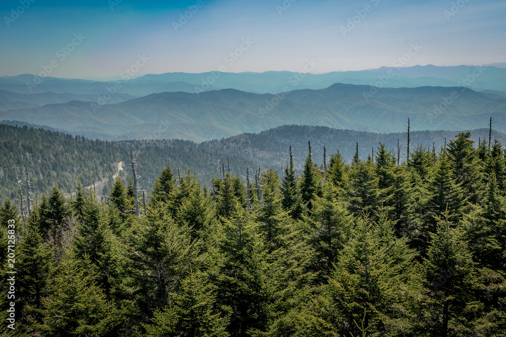 Looking South From Clingmans Dome