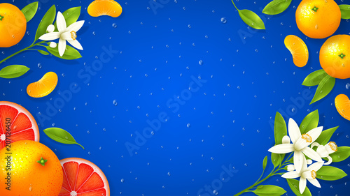 Natural citrus fruit background. Top view on realistic flowers and citrus fruit on blue background with water drops. Vector illustration.