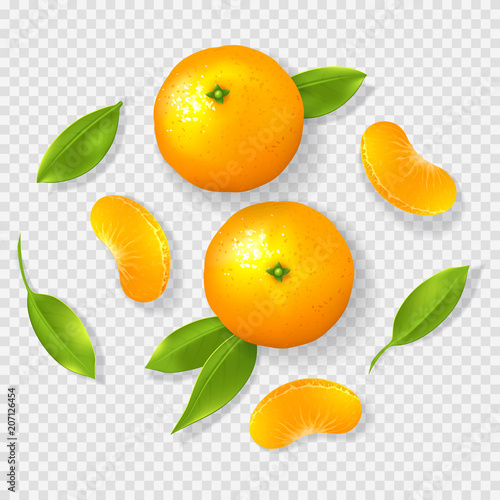 Realistic mandarin isolated on transparent background. Top view on whole mandarins, leaves and pieces. Vector illustration.