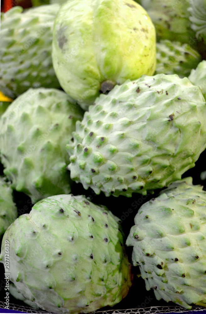 Fototapeta premium Green durian in the Tropics 