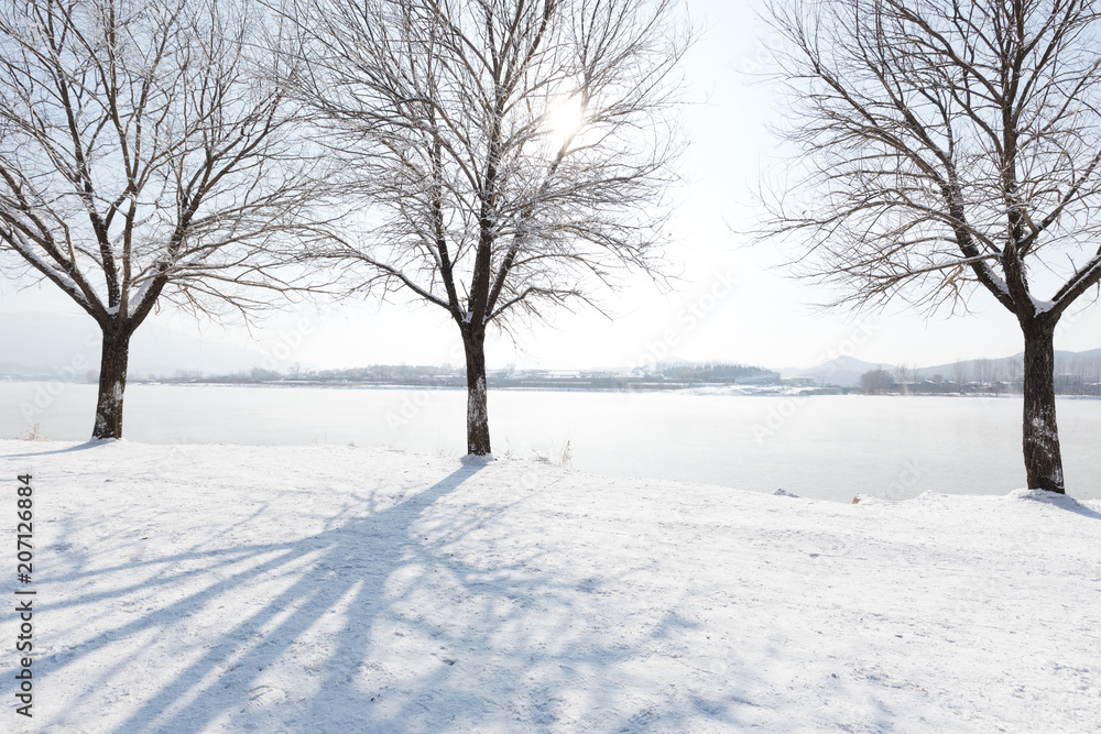 a scenic cold winter landscape with snow and trees a scenic cold winter landscape with snow and trees