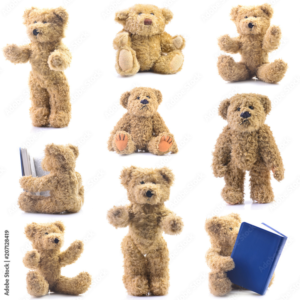Fototapeta premium Teddy bear isolated on white background
