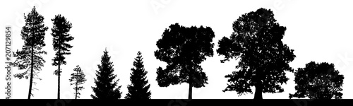 Vector silhouettes set of coniferous and deciduous trees ans bushes. photo