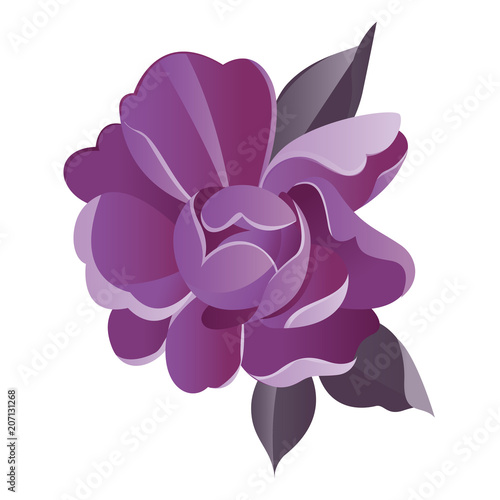 violet flower vector watercolor illustration