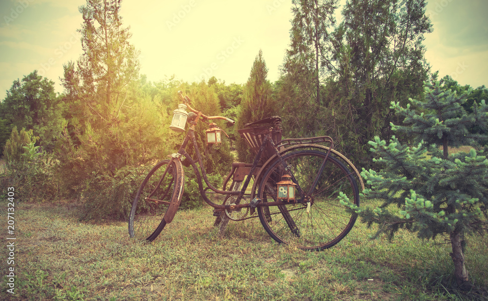 Fototapeta premium Old rusty bicycle