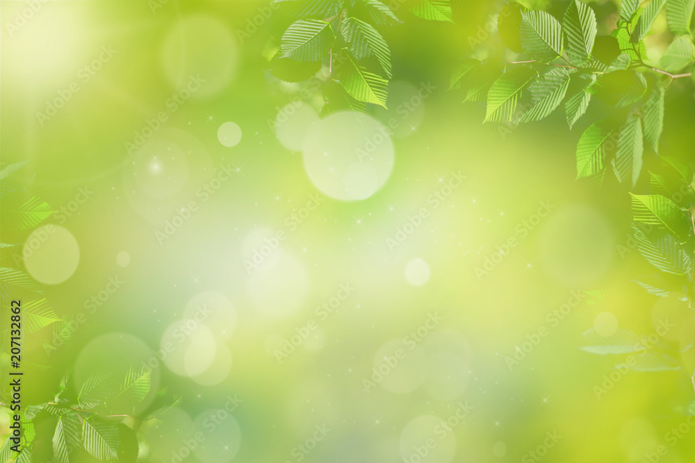 Spring or summer green background with sunlight and leaves Spring or summer green background with sunlight and leaves