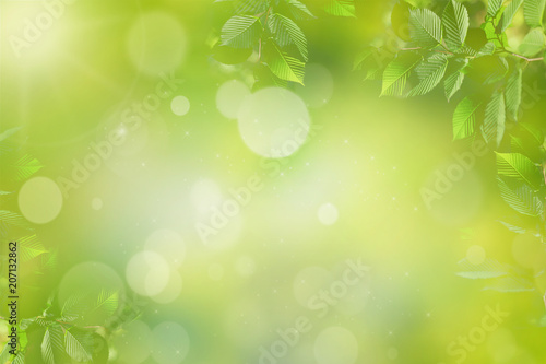Spring or summer green background with sunlight and leaves