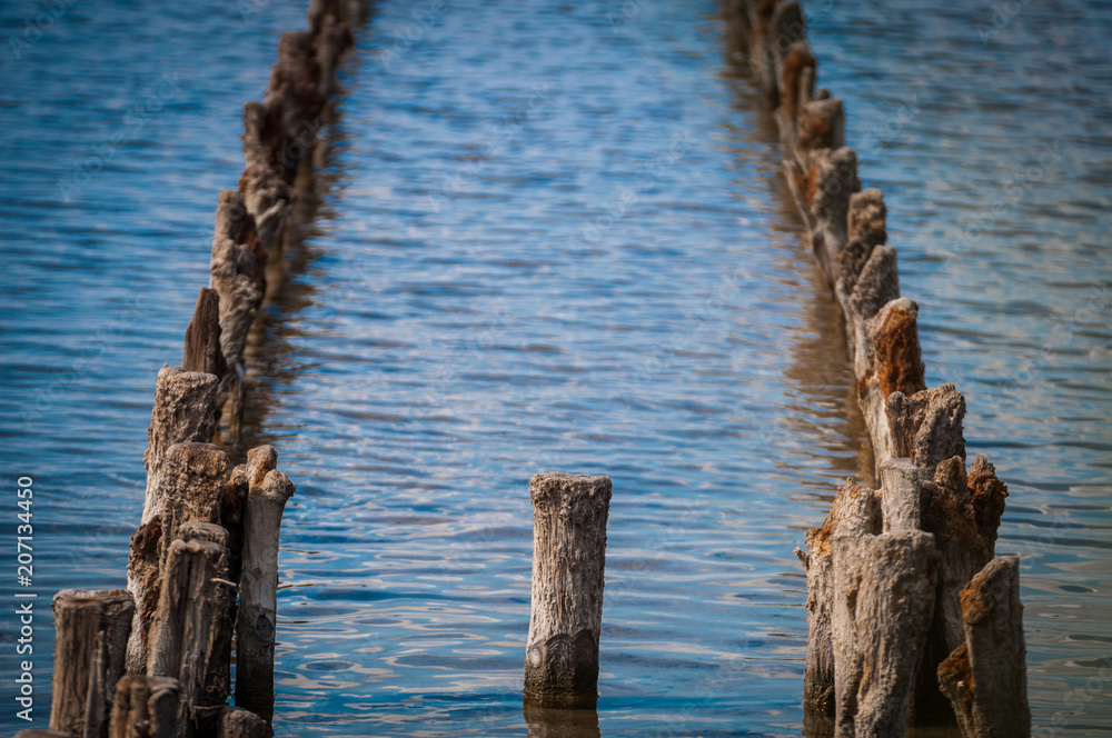 Wooden pallets in water