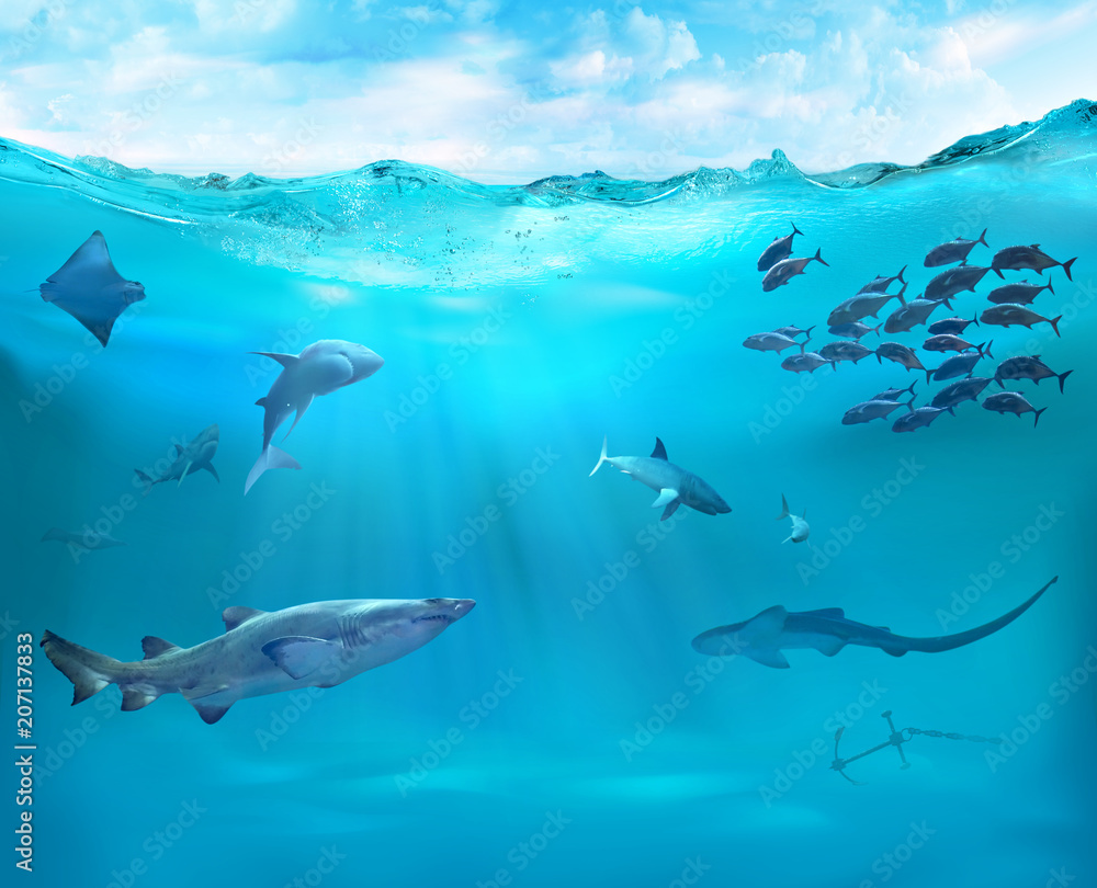 Obraz premium Ocean with sharks. Reef with marine animals.
