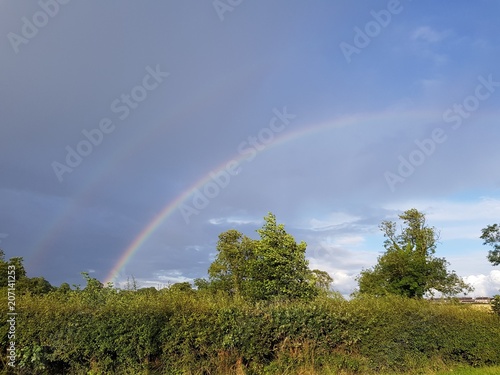 Fototapeta Naklejka Na Ścianę i Meble -  Warwickshire Countryside