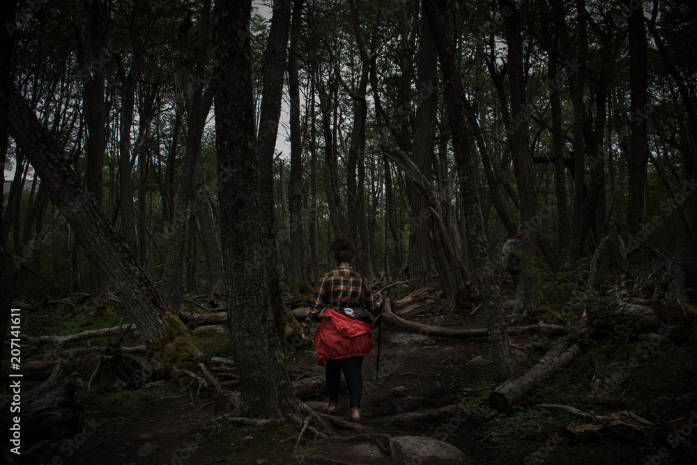Obraz premium Pessoa na Floresta