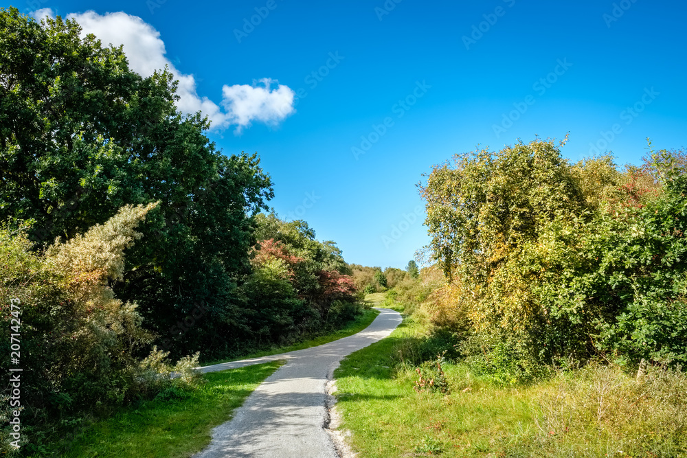 On the Dutch Wadden Isle of Schiermonnikoog (Friesland, Netherlands) there are many bicycle lanes and footpaths. Photo shot in September. On the Dutch Wadden Isle of Schiermonnikoog (Friesland, Netherlands) there are many bicycle lanes and footpaths. Photo shot in September.