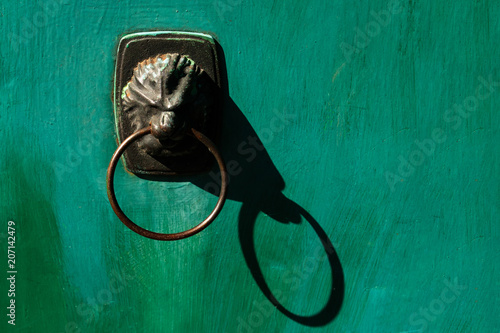 old green door with a lion-shaped handle
