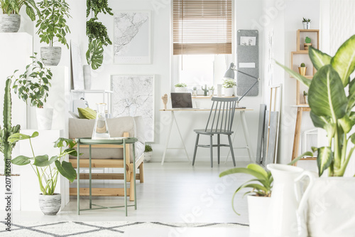 White home office interior with fresh green plants, grey chair standing by wooden desk with laptop and window with blinds