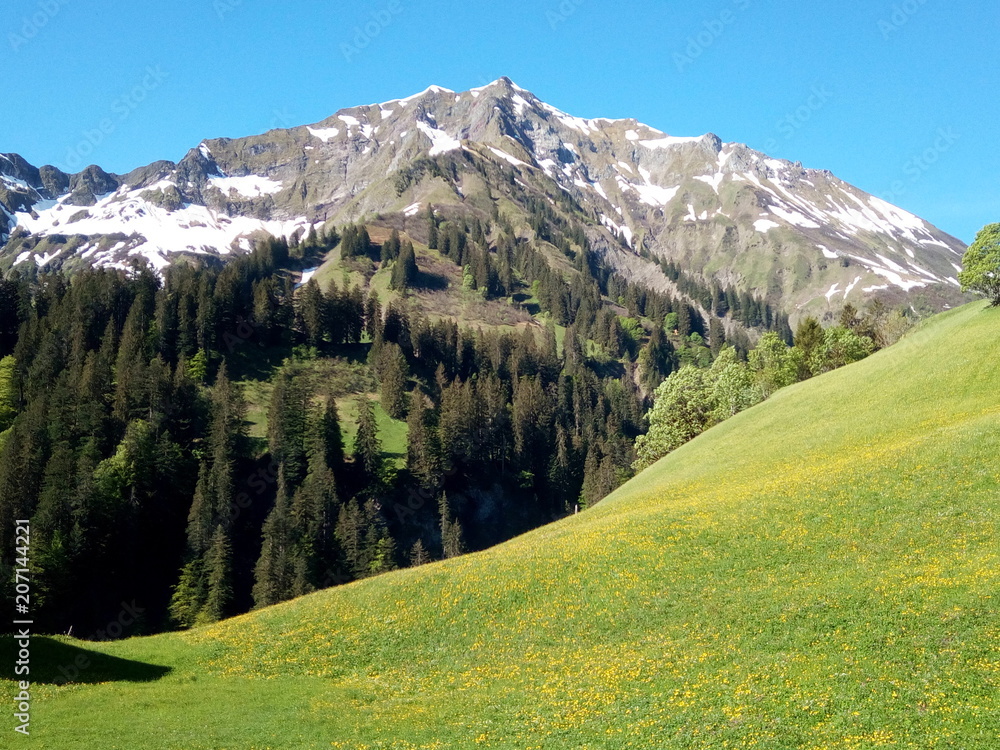 Austria mountains summer
