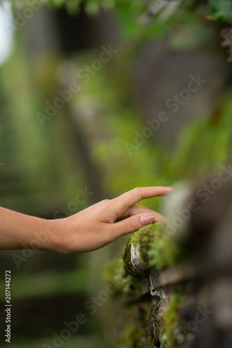 Female hand touches moss