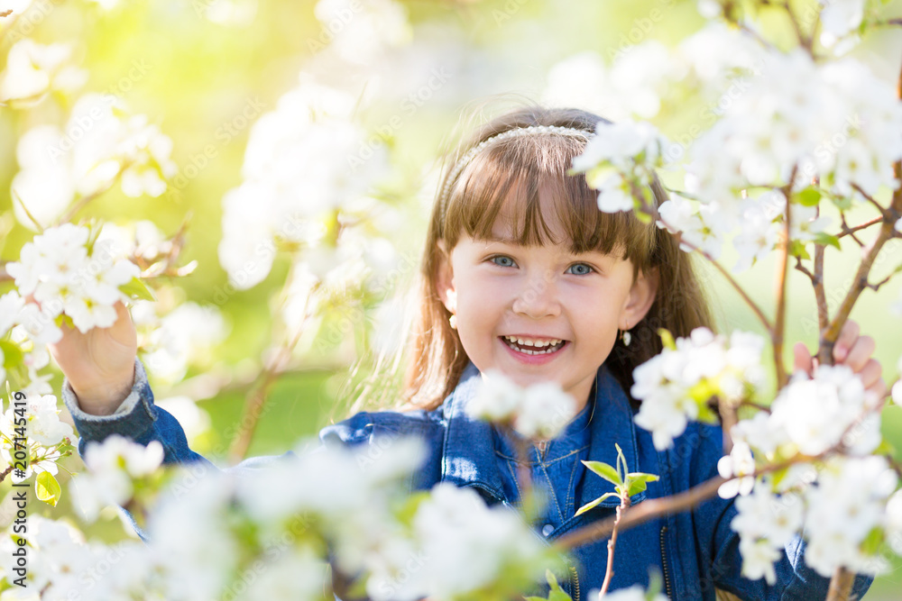 Portrait of a girl in blossoming apple tree. A little girl of 5 years of age in a jeans dress among the flowers in a spring apple orchard. Portrait of a girl in blossoming apple tree. A little girl of 5 years of age in a jeans dress among the flowers in a spring apple orchard.