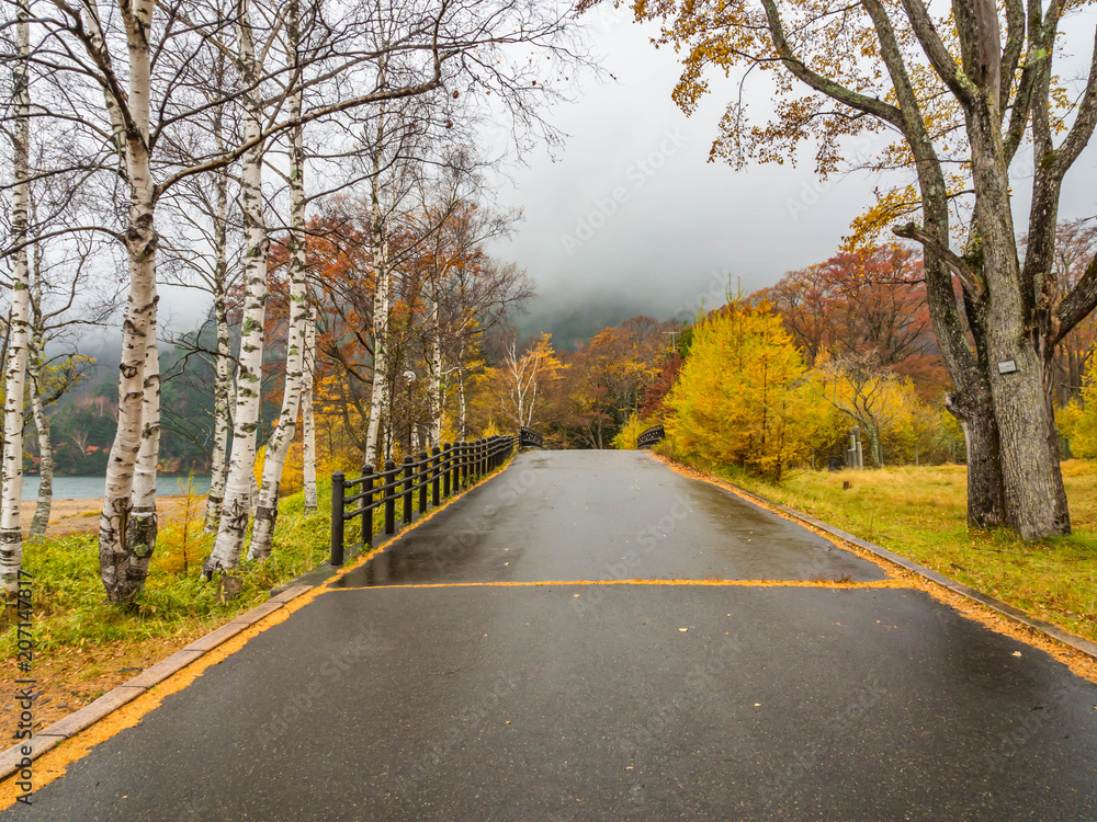 Wet road in rainy day with autumn color forest season.