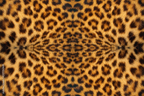 Tiger skin pattern background.