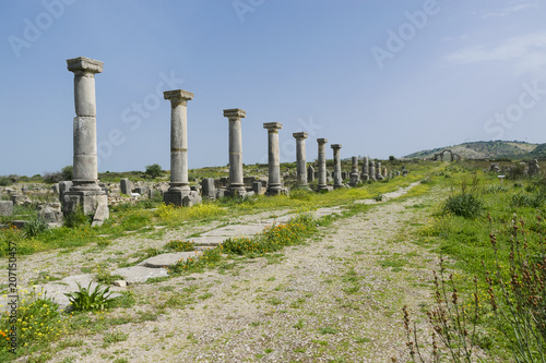 Roman city of Volubilis