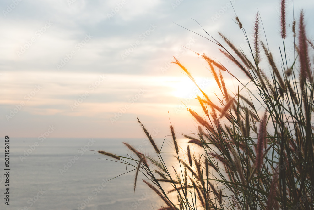 Sunset sky over tropical grass and sea in evening. - obrazy, fototapety, plakaty 