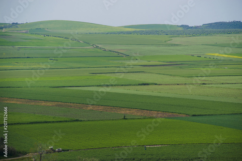 Agriculture area in volubilis