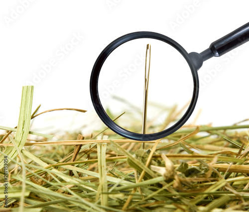 Φωτογραφία image magnifying glass, needle and stack of snow