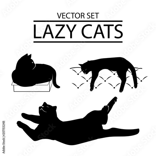 Vector set of three cat icons