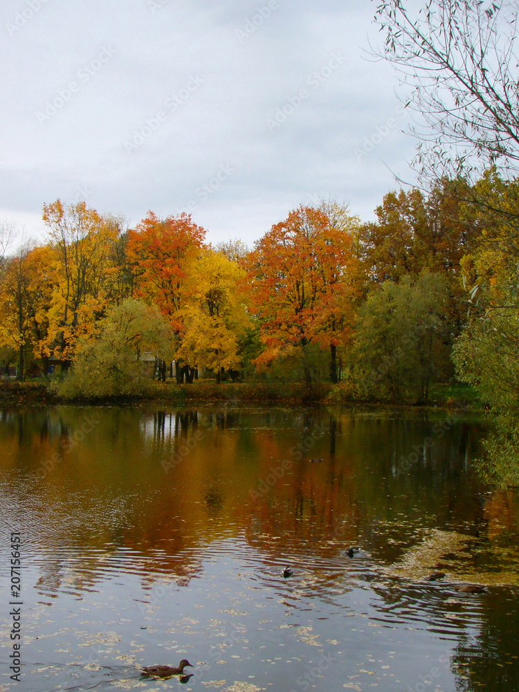 Beautiful autumn landscape