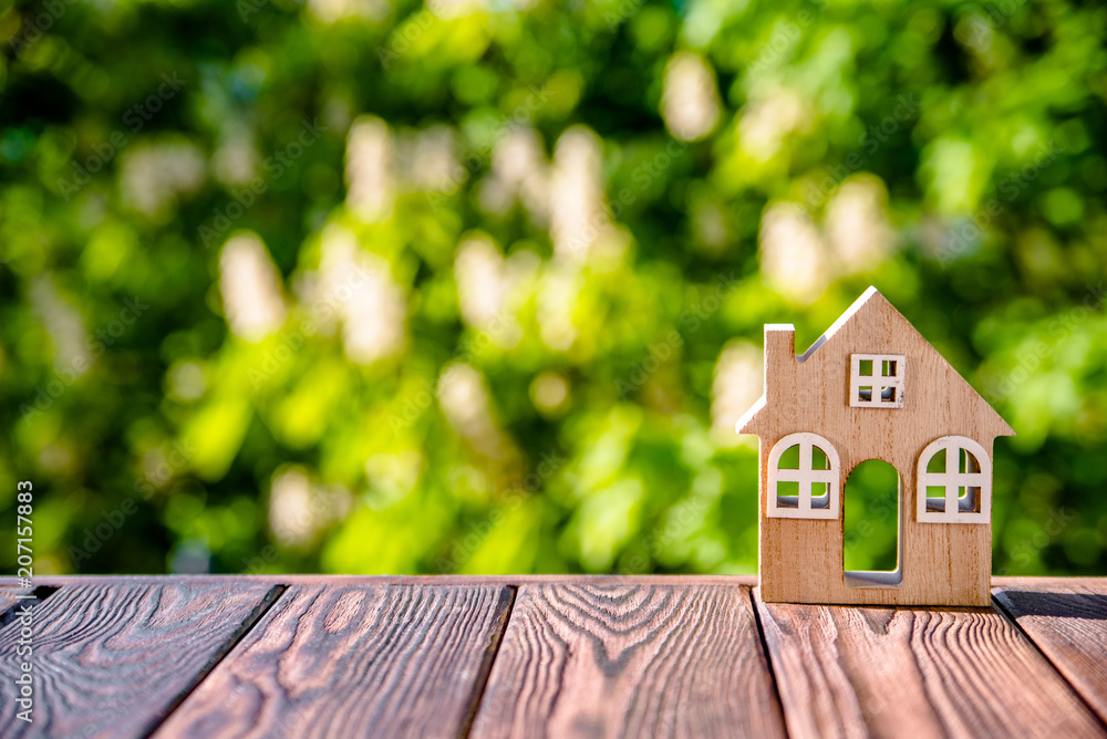 The symbol of the house on a natural green background The symbol of the house on a natural green background