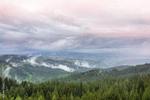 View of the mountains  fields and forest in the Alps