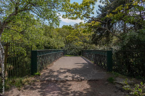 bridge in parkland