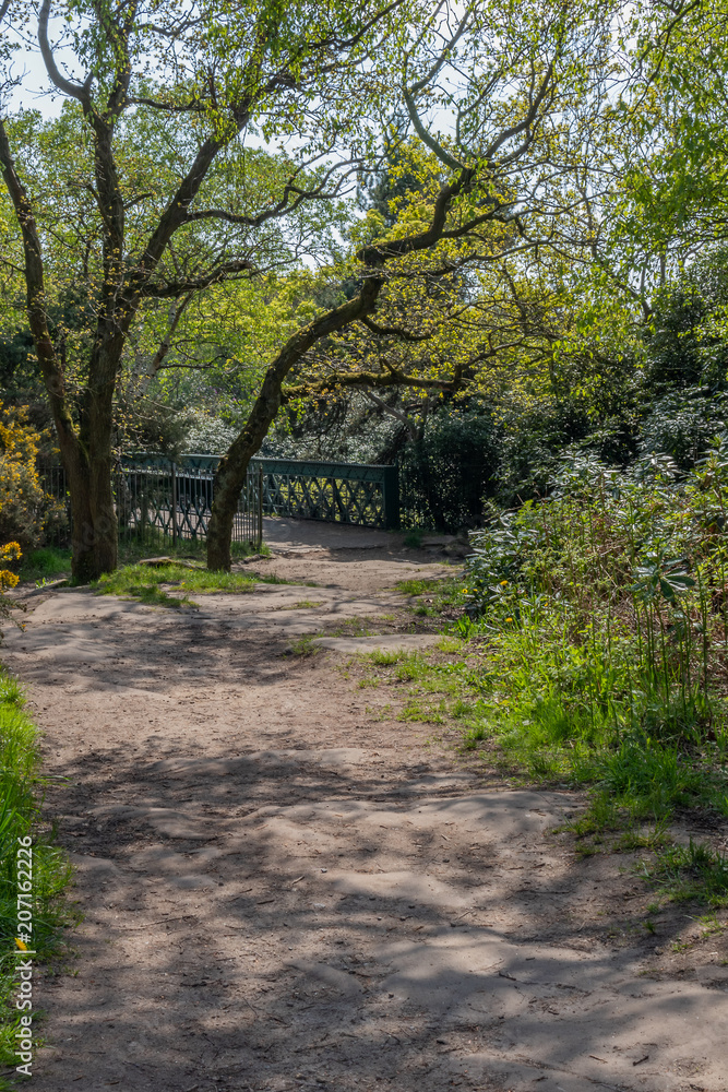 path to a bridge in a park