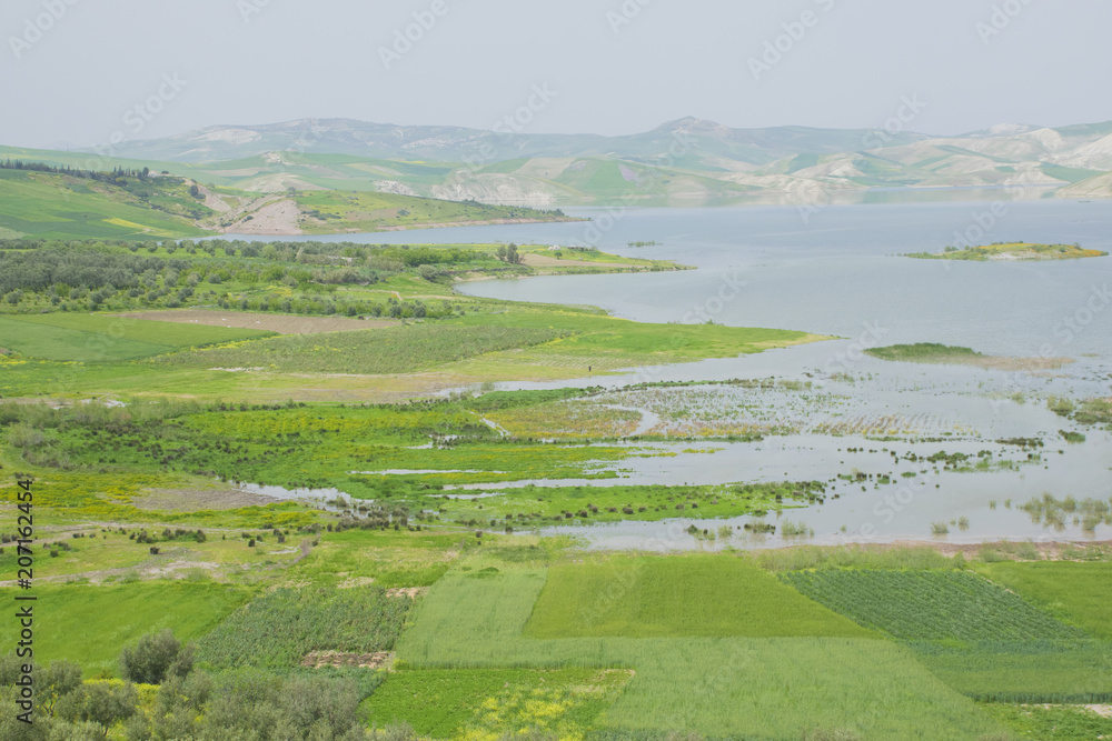 MEadows in Morocco