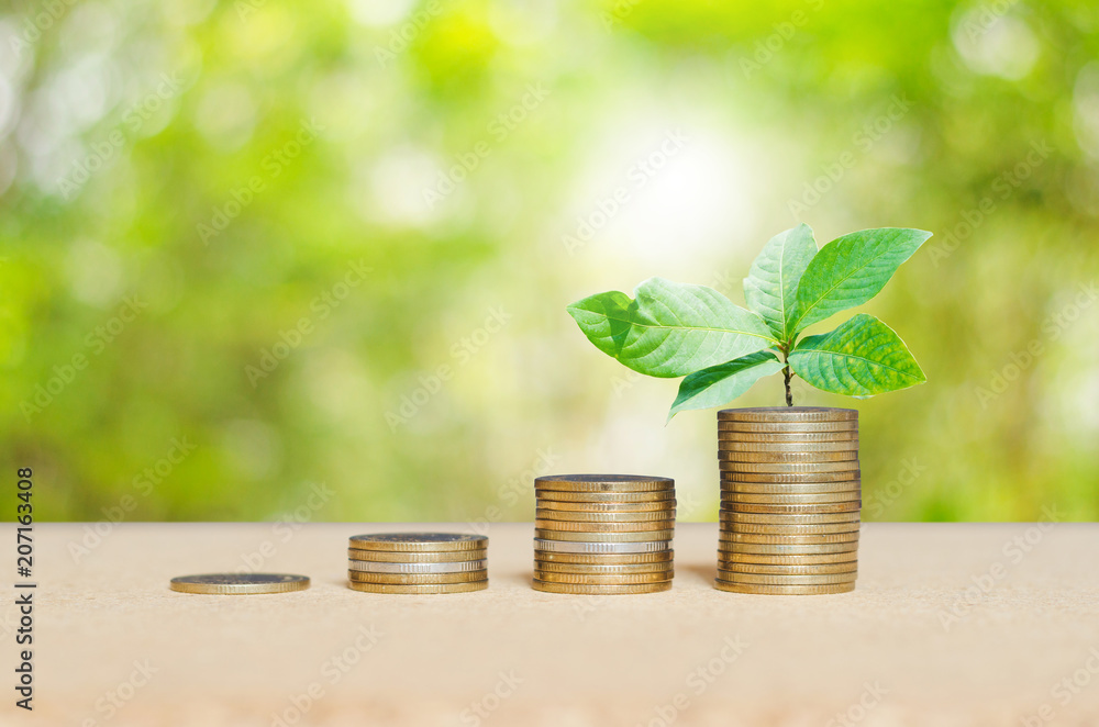 coins stacking with green leaves plant growth up on top coin on wooden board against green nature blur background. financial and saving concept. coins stacking with green leaves plant growth up on top coin on wooden board against green nature blur background. financial and saving concept.